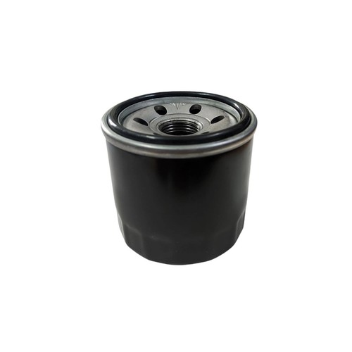 Filtro olio motore audi a2 - olio, a1